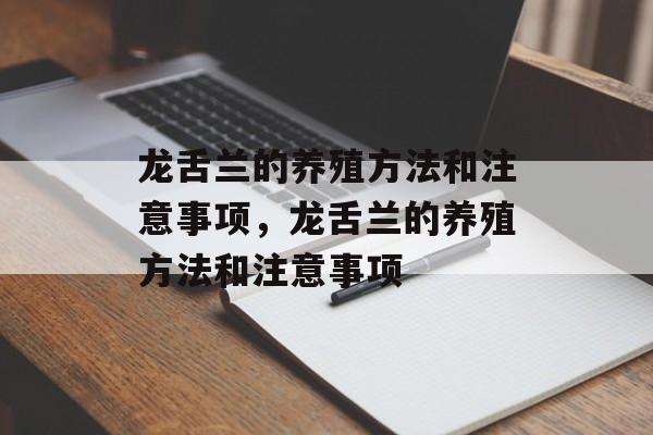 龙舌兰的养殖方法和注意事项，龙舌兰的养殖方法和注意事项-第1张图片-