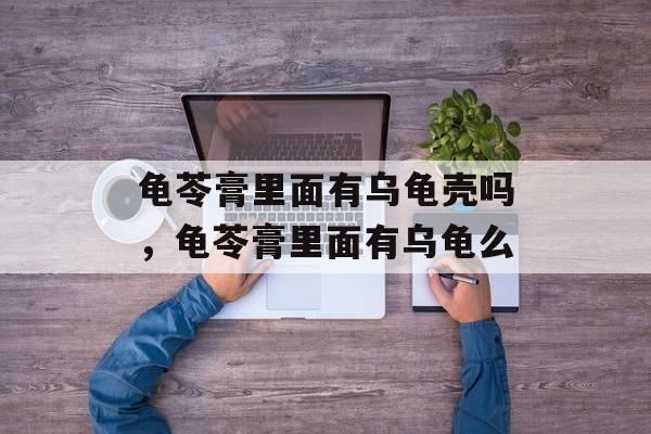 龟苓膏里面有乌龟壳吗，龟苓膏里面有乌龟么-第1张图片-