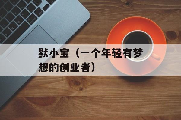 默小宝（一个年轻有梦想的创业者）-第1张图片-