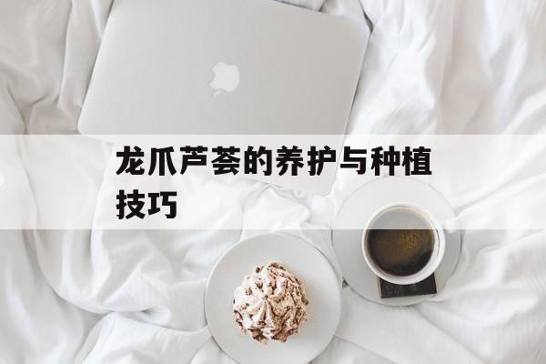 龙爪芦荟的养护与种植技巧-第1张图片-