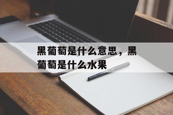 黑葡萄是什么意思，黑葡萄是什么水果-第1张图片-