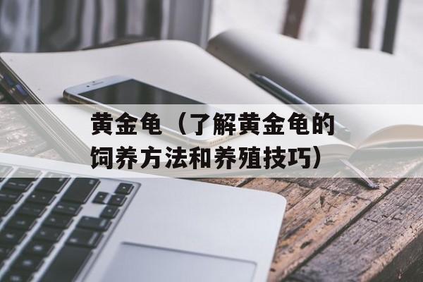 黄金龟（了解黄金龟的饲养方法和养殖技巧）-第1张图片-