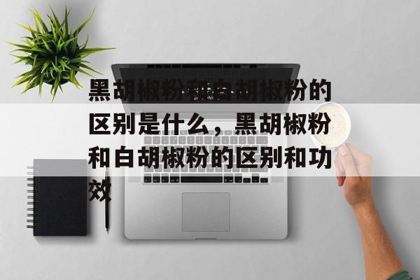 黑胡椒粉和白胡椒粉的区别是什么，黑胡椒粉和白胡椒粉的区别和功效-第1张图片-
