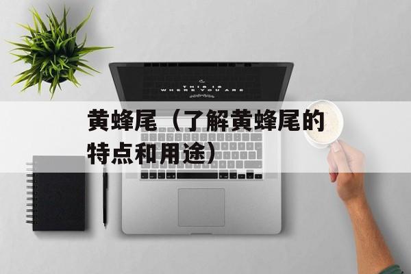 黄蜂尾（了解黄蜂尾的特点和用途）-第1张图片-
