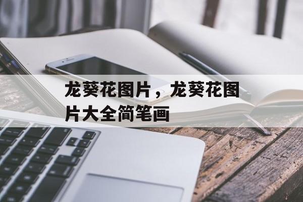 龙葵花图片，龙葵花图片大全简笔画-第1张图片-