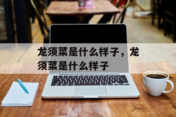 龙须菜是什么样子，龙须菜是什么样子-第1张图片-