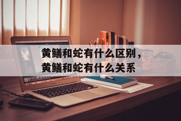 黄鳝和蛇有什么区别，黄鳝和蛇有什么关系-第1张图片-