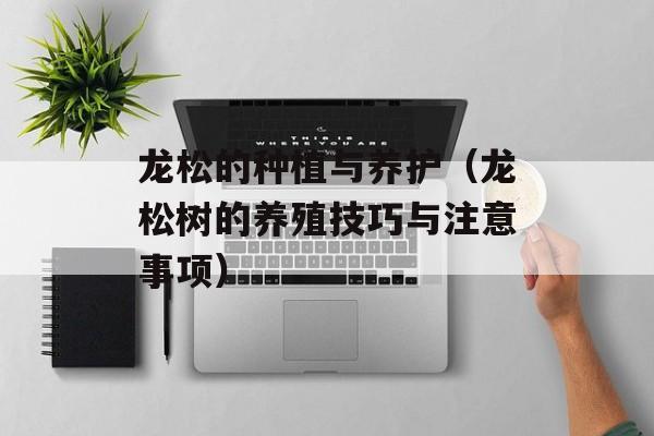 龙松的种植与养护（龙松树的养殖技巧与注意事项）-第1张图片-
