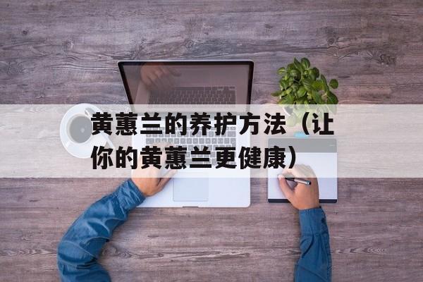 黄蕙兰的养护方法（让你的黄蕙兰更健康）-第1张图片-