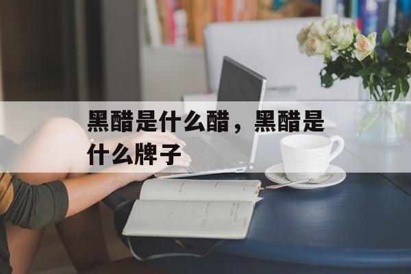黑醋是什么醋，黑醋是什么牌子-第1张图片-