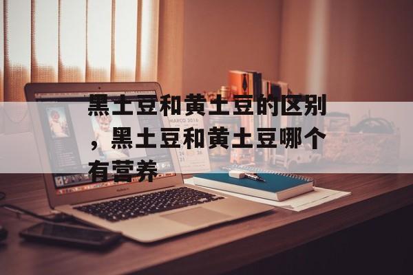 黑土豆和黄土豆的区别，黑土豆和黄土豆哪个有营养-第1张图片-