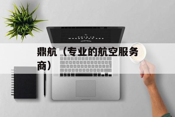 鼎航（专业的航空服务商）-第1张图片-