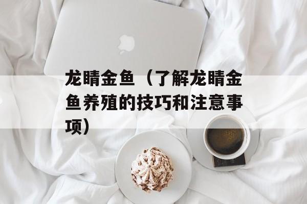 龙睛金鱼（了解龙睛金鱼养殖的技巧和注意事项）-第1张图片-