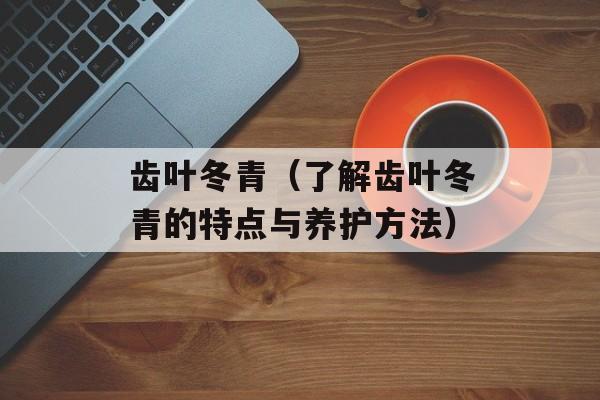 齿叶冬青（了解齿叶冬青的特点与养护方法）-第1张图片-