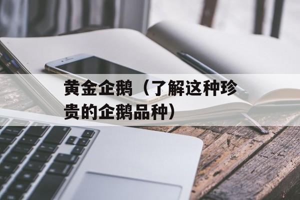 黄金企鹅（了解这种珍贵的企鹅品种）-第1张图片-