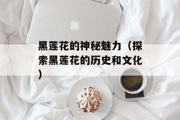 黑莲花的神秘魅力（探索黑莲花的历史和文化）-第1张图片-