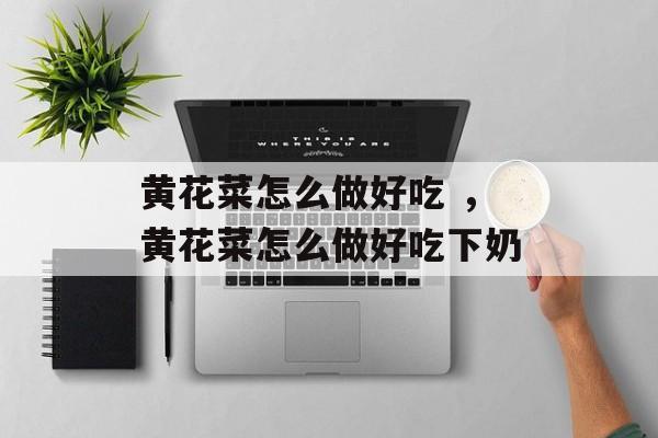 黄花菜怎么做好吃 ，黄花菜怎么做好吃下奶-第1张图片-