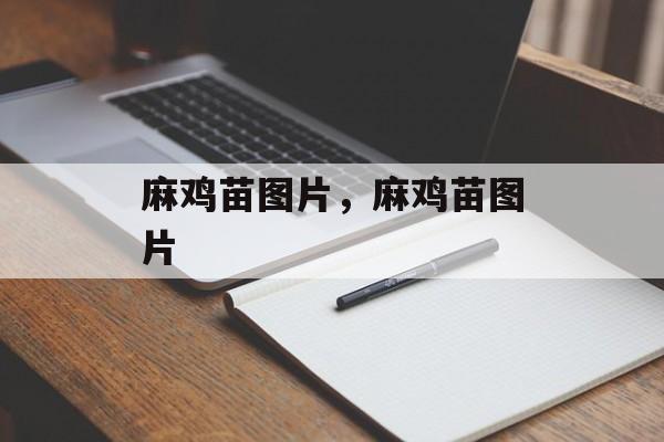 麻鸡苗图片，麻鸡苗图片-第1张图片-