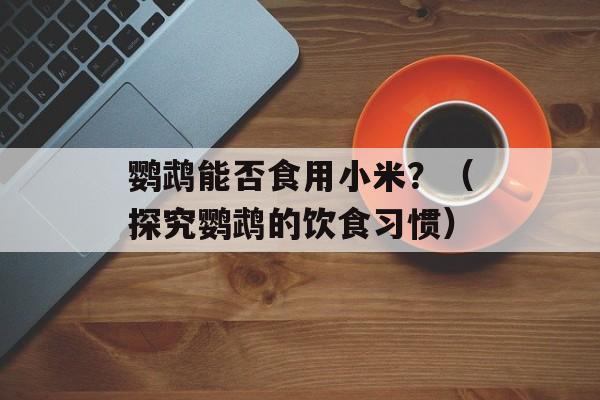 鹦鹉能否食用小米？（探究鹦鹉的饮食习惯）-第1张图片-
