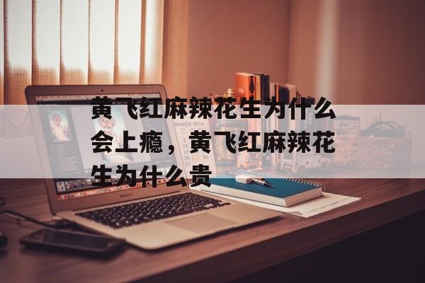 黄飞红麻辣花生为什么会上瘾，黄飞红麻辣花生为什么贵-第1张图片-