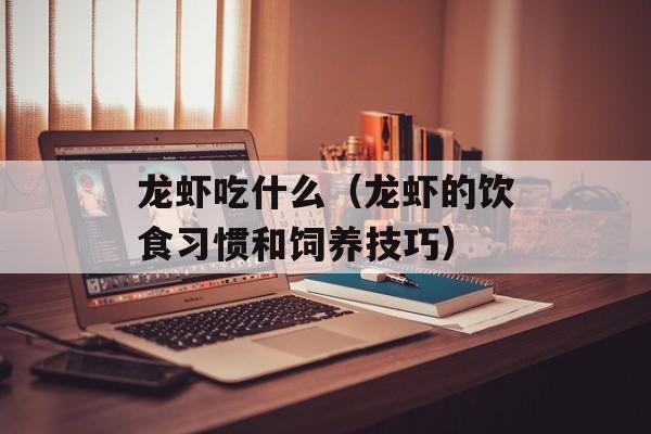 龙虾吃什么（龙虾的饮食习惯和饲养技巧）-第1张图片-