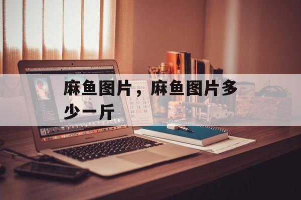麻鱼图片，麻鱼图片多少一斤-第1张图片-