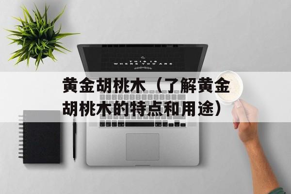 黄金胡桃木（了解黄金胡桃木的特点和用途）-第1张图片-