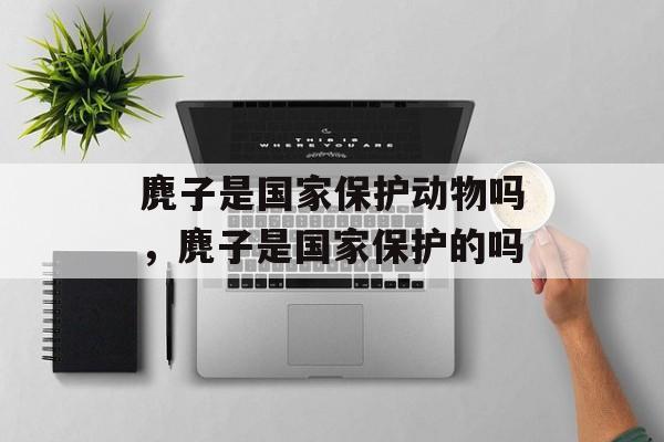 麂子是国家保护动物吗，麂子是国家保护的吗-第1张图片-