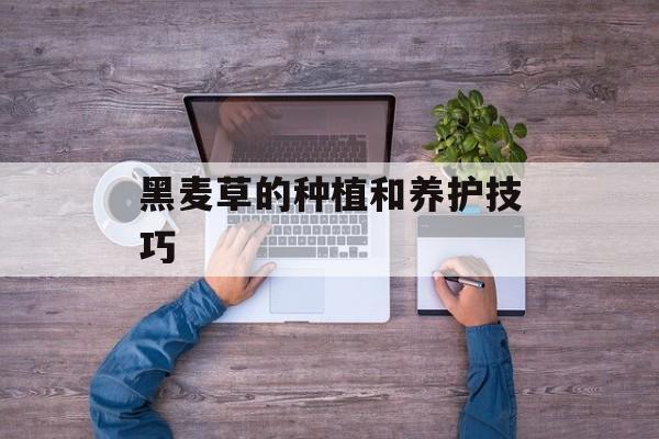黑麦草的种植和养护技巧-第1张图片-