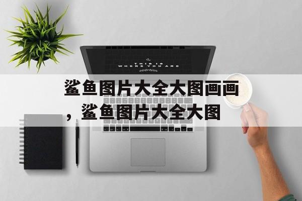 鲨鱼图片大全大图画画，鲨鱼图片大全大图-第1张图片-