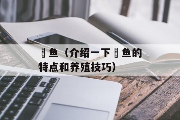 鳉鱼（介绍一下鳉鱼的特点和养殖技巧）-第1张图片-
