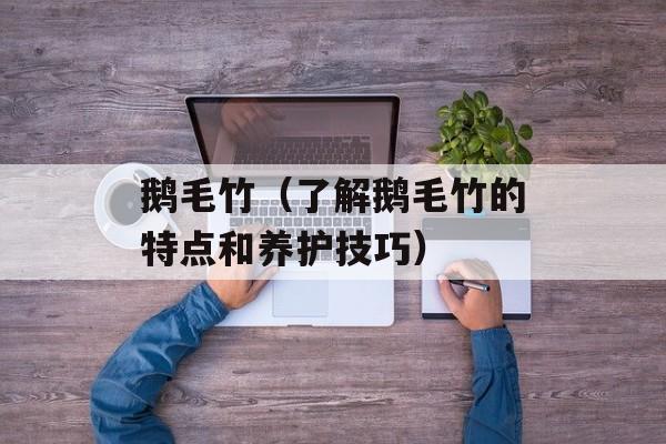 鹅毛竹（了解鹅毛竹的特点和养护技巧）-第1张图片-