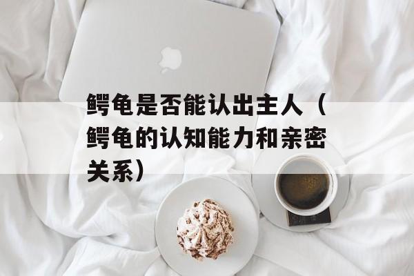 鳄龟是否能认出主人（鳄龟的认知能力和亲密关系）-第1张图片-