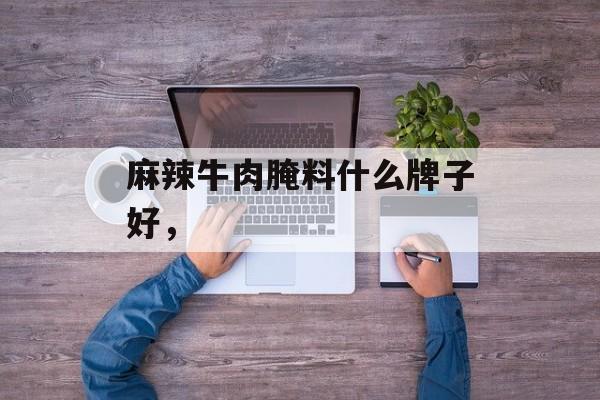 麻辣牛肉腌料什么牌子好，-第1张图片-