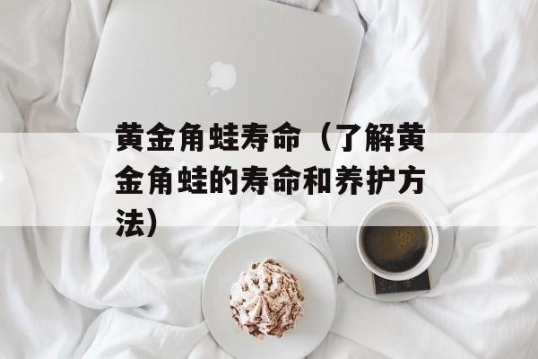 黄金角蛙寿命（了解黄金角蛙的寿命和养护方法）-第1张图片-