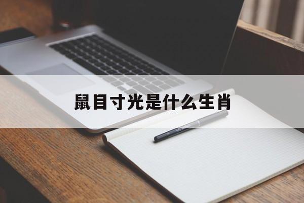 鼠目寸光是什么生肖-第1张图片-