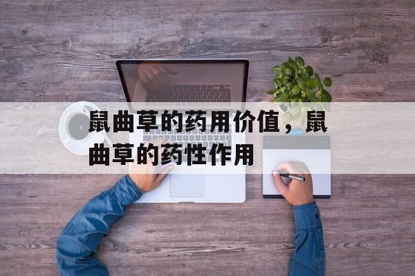 鼠曲草的药用价值，鼠曲草的药性作用-第1张图片-