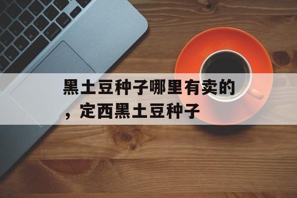 黑土豆种子哪里有卖的，定西黑土豆种子-第1张图片-