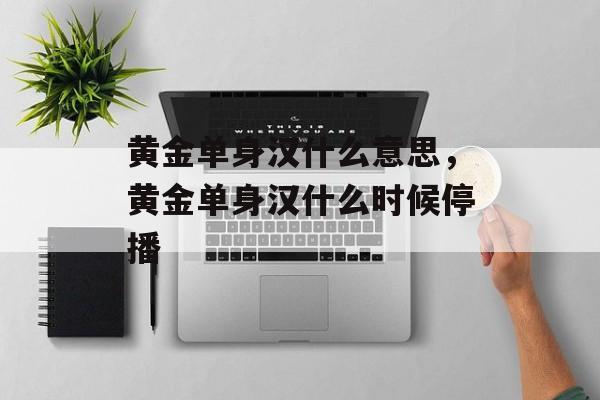 黄金单身汉什么意思，黄金单身汉什么时候停播-第1张图片-