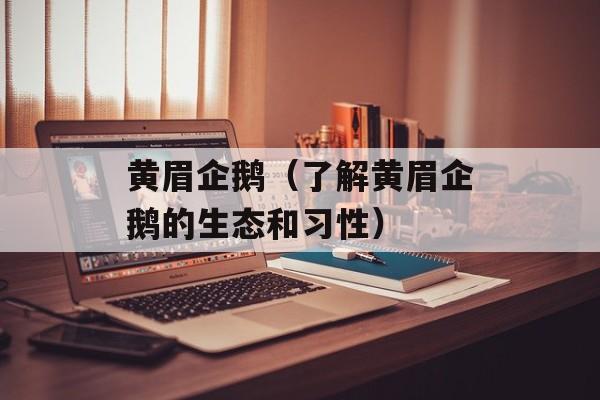 黄眉企鹅（了解黄眉企鹅的生态和习性）-第1张图片-