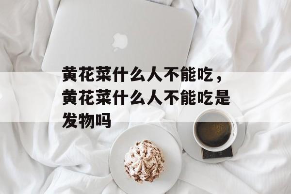 黄花菜什么人不能吃，黄花菜什么人不能吃是发物吗-第1张图片-
