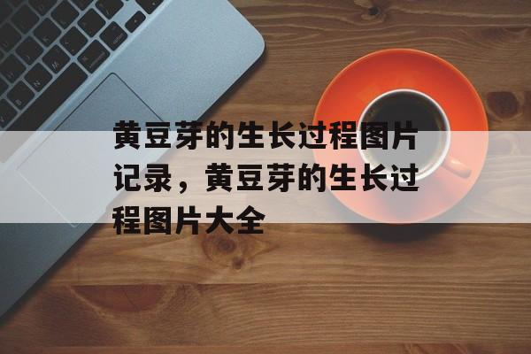 黄豆芽的生长过程图片记录，黄豆芽的生长过程图片大全-第1张图片-