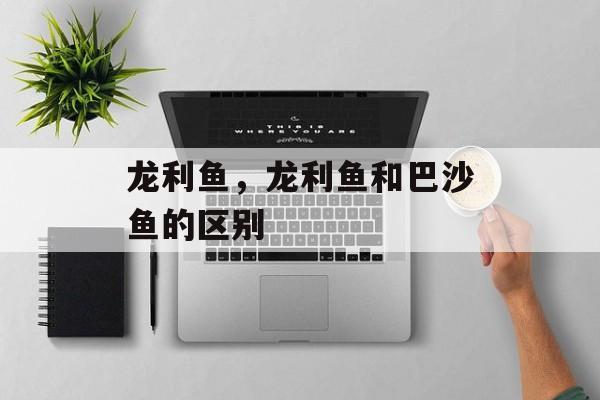 龙利鱼，龙利鱼和巴沙鱼的区别-第1张图片-
