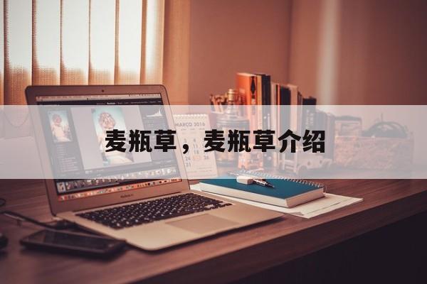 麦瓶草，麦瓶草介绍-第1张图片-