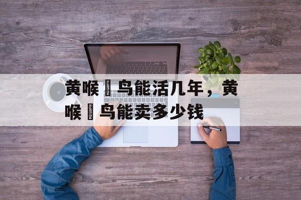 黄喉鹀鸟能活几年，黄喉鹀鸟能卖多少钱-第1张图片-