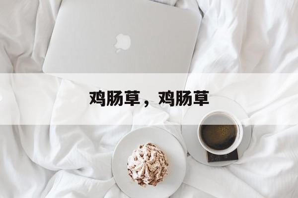 鸡肠草，鸡肠草-第1张图片-