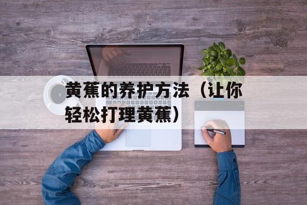 黄蕉的养护方法（让你轻松打理黄蕉）-第1张图片-
