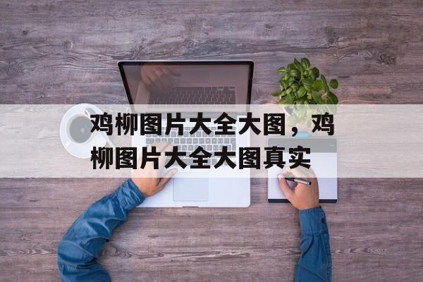 鸡柳图片大全大图，鸡柳图片大全大图真实-第1张图片-