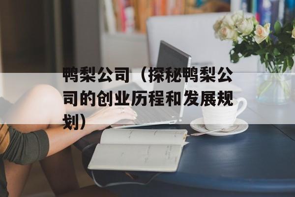 鸭梨公司（探秘鸭梨公司的创业历程和发展规划）-第1张图片-