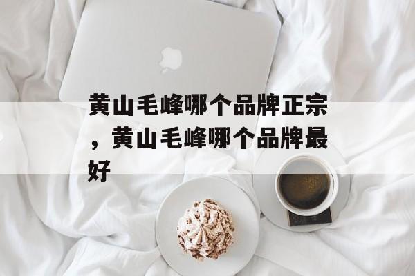 黄山毛峰哪个品牌正宗，黄山毛峰哪个品牌最好-第1张图片-